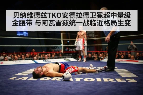 贝纳维德兹TKO安德拉德卫冕超中量级金腰带 与阿瓦雷兹统一战临近格局生变